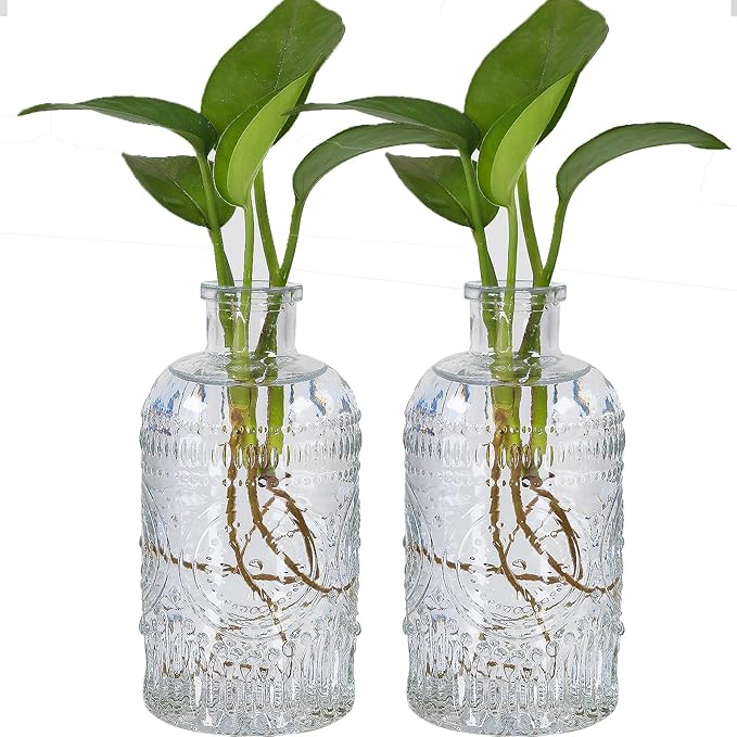2Pcs Propagation Vases for Plants, Bud Vases, Small Glass Vase for Flowers, Home and Table Decor, Shelf, Desk, and Office