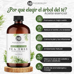 NaturoBliss Essential Oil with Glass Dropper - 100% Pure and Natural - Essential Oils for Diffuser, Aromatherapy, Soap and Candle Making, Tea Tree Essential Oil, Tea Tree Oil, 4 Fl Oz