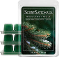 Scentsationals Woodland Spruce Scented Wax Melts - Amber Birch, Eucalyptus, & Sage, 10oz (24 Cubes)
