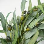 Olive Wreath for Front Door 22 inch, Greenery All Season Wreath with Olive Leaf Fruit, Home Decoration for Outdoor Living Room Indoor Wall and Outside Summer All Season Wedding