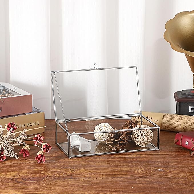Hipiwe Glass Keepsake Display and Jewelry Organizer With Lid - Silver Decorative Clear Rectangle Storage for Trinket Perfume Collection - Gift for Birthday Anniversaries, Large