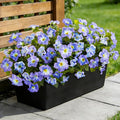 6 Pcs Artificial Petunia Flowers for Outdoor, Fake Spring Petunias Faux Silk Flowers for Outdoors UV Resistant Plants for Planters Garden Porch Patio Window Box Indoor Table Decor(White Blue)