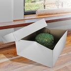 Hat Boxes with Handles - White - 14" x 14" x 7" - Case of 25 - Sturdy White Cardboard Hat Box with Handles - Premium Cardboard Hat Boxes with Lids for Secure Storage - Elegant Hat Box Solution