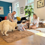 OLANLY Area Rugs for Living Room Bedroom, Machine Washable 4x5.9 ft Soft Fluffy Shaggy Bedside Rug, Indoor Floor Carpet for Kids Girls and Boys, Dorms, Nursery Rooms, Home Decor Aesthetic, Khaki