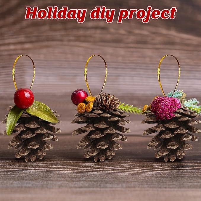 24 PCS Natural Pine Cones, 1.96 in Pinecone Ornaments, Rustic Pine Cones for Crafts, Winter Decorations for Home, Bulk Pines Cone with Gold String for Christmas Table Decor DIY Christmas Ornaments