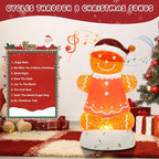 Gingerbread Christmas Snow Globe Lantern with 8 Music Songs & 6H Timer Water Snow Globe Lantern USB & Battery Operated for Christmas Festival Decorations Gifts (Pink Gingerbread)