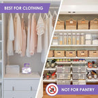 MothMag Moth Traps for Clothes, Closets, Fabrics, and Carpets, Clothing Moth Traps, Clothes Moth Traps, Closet Moth Traps, Moth Pheromone Traps, Extra-Strength Adhesive Glue Clothes Moth Trap, 6 Pack