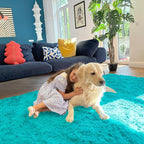 OLANLY 5x8 Machine Washable Large Area Rugs for Living Room, Bedroom, Soft Fluffy Shaggy Bedside Rug, Indoor Floor Carpet for Kids Girls and Boys, Dorms, Nursery, Home Decor Aesthetic, Teal Blue