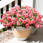 HyeFlora Artificial Faux Outdoor Flowers Plants for Spring Summer Decoration, Fake Silk Camellia UV Resistant Look Real for Planter Outside Front Door Porch Patio Balcony, 3 Large Bundles