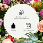 Apotheke Luxury Scented Oil Reed Diffuser Liquid Refill (Earl Grey Bitters) - Premium Home Fragrance Diffuser Refill Set with Sticks
