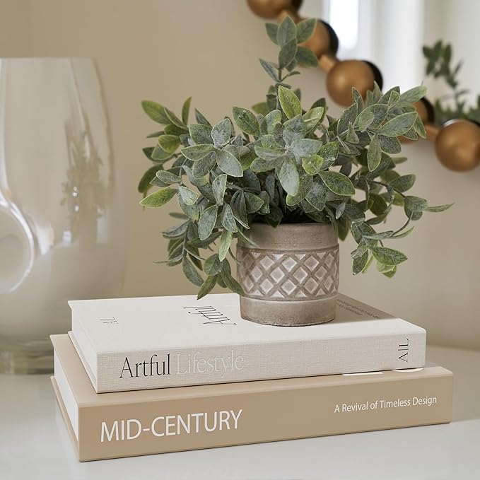 Aesthetic Decorative Books - Set of 2 Stylish Boxes Enhance Your Coffee Table, Bookshelf or Mantel Decor - Beautiful Fake/Faux Books for Modern Home Decoration, Photo Storage and as a Keepsake Box