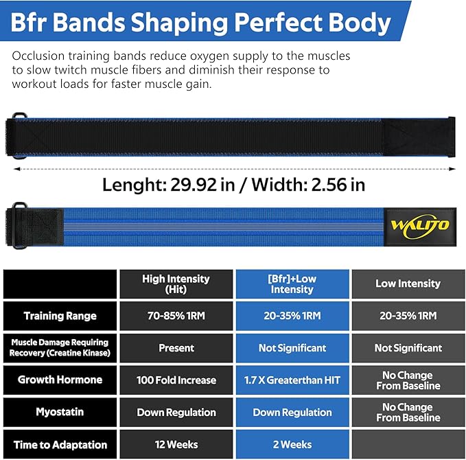 BFR Booty Bands for Women Glutes - Blood Flow Restriction Bands with Weekly Plan for Legs, Butt & Hip Building, Occlusion Bands for Workouts, Best Fabric Bands for Squat Butt & Thigh