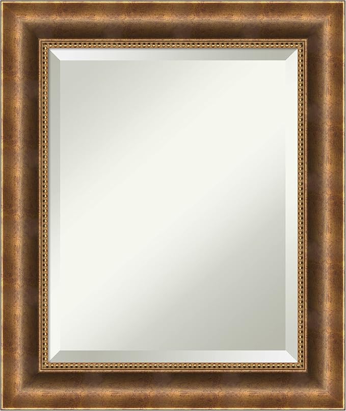 Amanti Art Bronze Wall Mirror 25x21 Manhattan Bronze Rectangle Bathroom Mirror for Wall Decor Living Room, Small Traditional Wood Frame, Hangs Horizonally and Vertically, Bathroom Decor, Beveled Edge