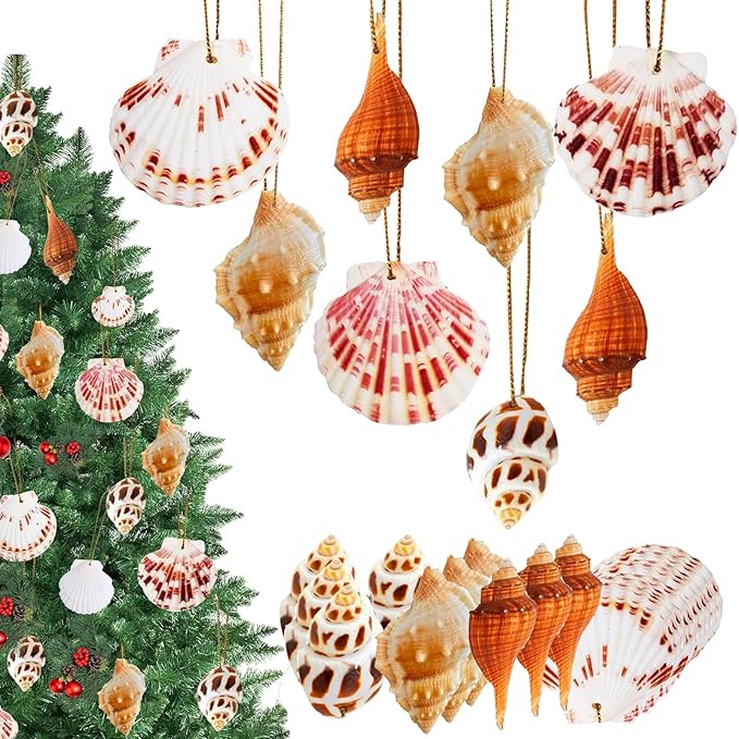20 PCS Seashells Hanging Ornaments Natural Shells Decorations Beach Ocean Nautical Style for Summer Decor Christmas Tree Wedding Birthday Craft Conch Projects