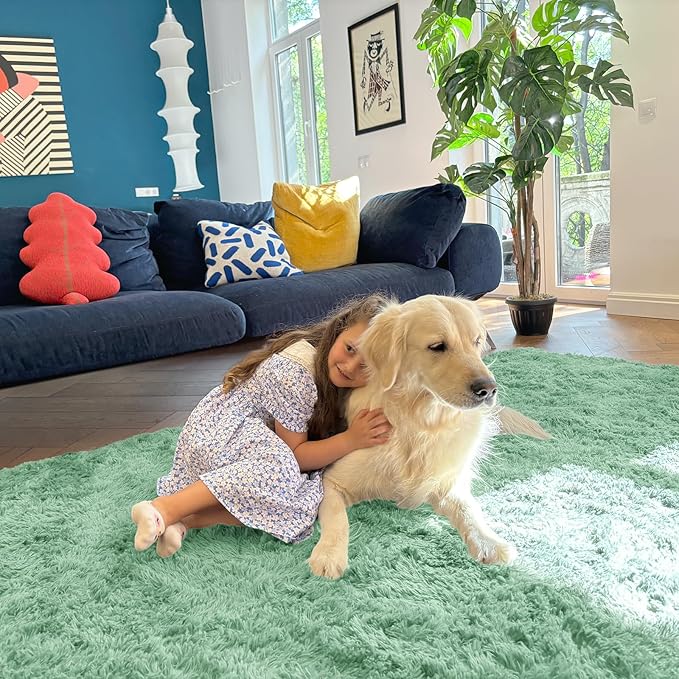 OLANLY 6x9 Machine Washable Large Area Rugs for Living Room, Bedroom, Soft Fluffy Shaggy Bedside Rug, Indoor Floor Carpet for Kids Girls and Boys, Dorms, Nursery, Home Decor Aesthetic, Mint Green