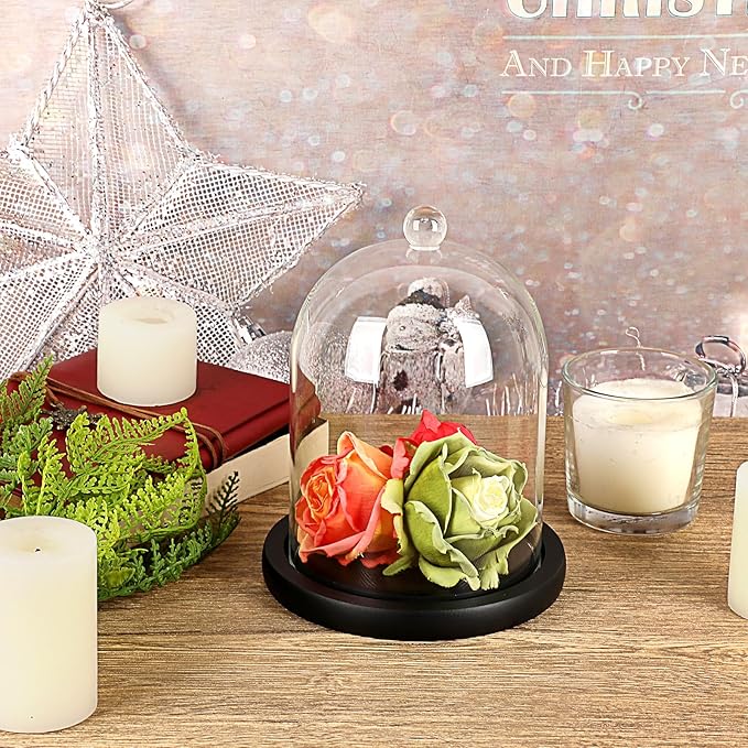 JUXYES Glass Display Dome Cloche with Wood Base, Clear Glass Dome Cloche Bell Sphere Jar Snow Globe Kit, Snowglobe Cloche Bell Jar Display for Fairy Light Plant Collectible Figures
