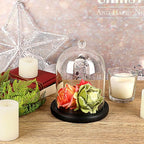 JUXYES Glass Display Dome Cloche with Wood Base, Clear Glass Dome Cloche Bell Sphere Jar Snow Globe Kit, Snowglobe Cloche Bell Jar Display for Fairy Light Plant Collectible Figures