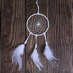 DIY Dream Catcher Beginner Kit, Making Dream Catcher Supplies Include Metal Hoop, Feathers, Faux Suede Cord, Thread, Wood Beads (White)