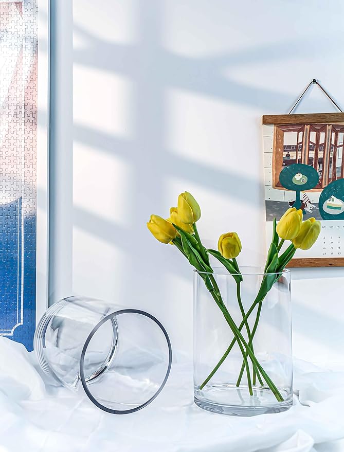 CYS EXCEL Cylinder Clear Glass Vase (H:8" D:6") | Multiple Size Choices Glass Flower Vase Centerpieces | Hurricane Floating Candle Holder Vase