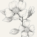 Framed Black and White Floral Wall Art, 4 Piece Vintage Gray Botanical Canvas Prints Painting Artwork, Minimalist Neutral Flower Pictures for Farmhouse Bedroom Living Room Bathroom Home Decor, 11x14