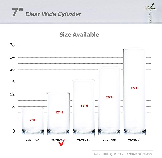 WGV Cylinder Vase, Width 7", Height 12", Clear Wide Large Diameter Flower Glassware, Floral Container, Planter Terrarium for Wedding Party Event, Home Accent Decor, 1 Piece