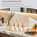 Reed Diffuser Set, Lavender Osmanthus Orange&Lemon Scent Oil Diffusers with Sticks for Home Office Bathroom Aromatherapy Decor 1.69oz X 3