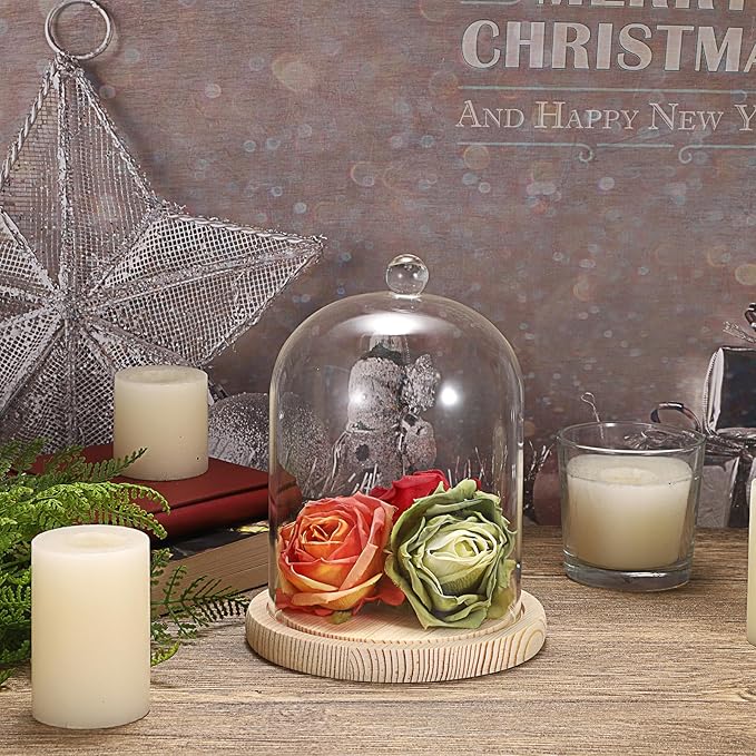 JUXYES Glass Display Dome Cloche with Wood Base, Clear Glass Dome Cloche Bell Sphere Jar Snow Globe Kit, Snowglobe Cloche Bell Jar Display for Fairy Light Plant Collectible Figures