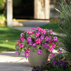 Artificial Hanging Fake Flowers with Basket Plants for Outdoor Decoration, Faux Silk Flower UV Resistant Morning Glory for Home Porch Patio Garden Balcony Yard Look Real (Fuchsia Lotus)