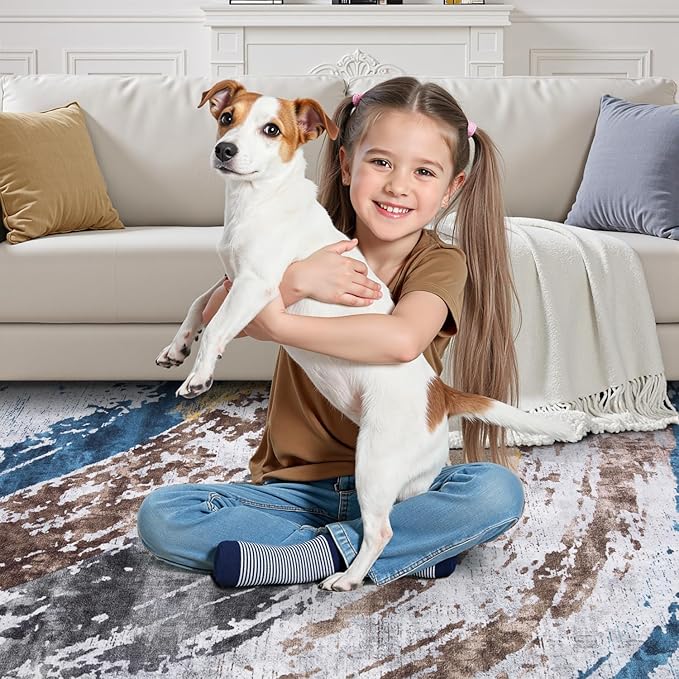 Ciicool Modern Abstract Rug for Living Room, 5x7 Machine Washable Area Rug Non-Slip Rug, Low-Pile Contemporary Indoor Dining Floor Carpet for Bedroom Office Under Table Home Decor Grey Blue Swirl