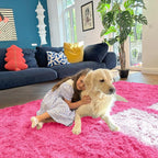 OLANLY 8x10 Machine Washable Large Area Rugs for Living Room, Bedroom, Soft Fluffy Shaggy Bedside Rug, Indoor Floor Carpet for Kids Girls and Boys, Dorms, Nursery, Home Decor Aesthetic, Hot Pink