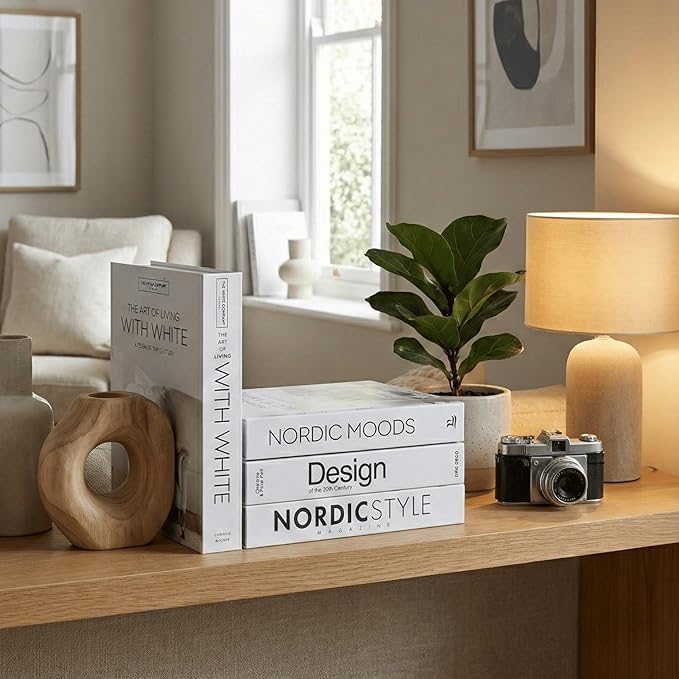 PROBENEX Mono Large | 4 PCS Faux Decorative Books for Home Decor | Not Real Books (Cardboard Boxes) | Coffee Table, Shelf Styling & Modern Aesthetic Accent Pieces for Living Room, Office