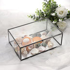 Hipiwe Vintage Glass Box with Lid - Rectangle Jewelry Display Organizer Box Black Vanity Lidded Box Home Decor Accent Decorative Box for Keepsakes Trinket Rings,X-Large