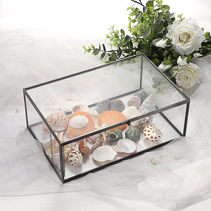 Hipiwe Vintage Glass Box with Lid - Rectangle Jewelry Display Organizer Box Black Vanity Lidded Box Home Decor Accent Decorative Box for Keepsakes Trinket Rings,X-Large