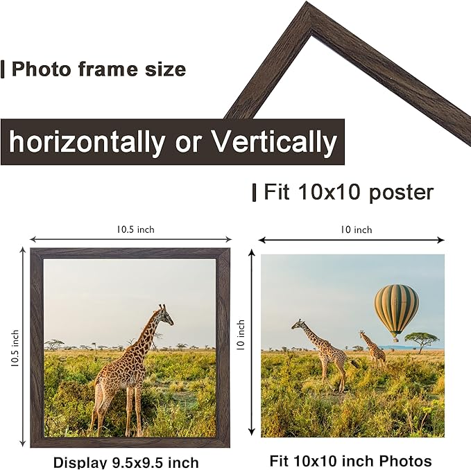 10x10 Picture Frame Set of 3, walnut Wooden Frame 10 by 10 Square Wall Gallery Poster Photo frame with Durable Shatter Resistant Plexiglass for Wall Hanging best gift