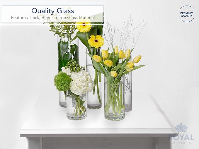 Royal Imports Flower Glass Vase Decorative Centerpiece for Home or Wedding - Cylinder Shape (5" Wide x 7" Tall, Clear)