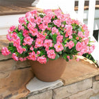 HyeFlora Artificial Faux Outdoor Flowers Plants for Spring Summer Decoration, Fake Silk Camellia UV Resistant Look Real for Planter Outside Front Door Porch Patio Balcony, 3 Large Bundles