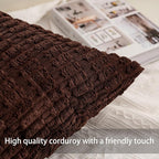 Aegero Pack of 2 Corduroy Decorative Throw Pillow Covers 12x24 Inch Soft Striped Pillow Covers Modern Farmhouse Home Decor for Sofa Living Room Couch Bed（Light Brown）