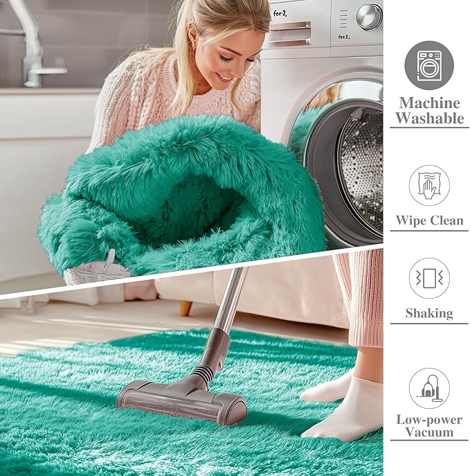 OLANLY 5x7 Machine Washable Large Area Rugs for Living Room, Bedroom, Soft Fluffy Shaggy Bedside Rug, Indoor Floor Carpet for Kids Girls and Boys, Dorms, Nursery, Home Decor Aesthetic, Teal Green