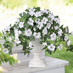 HyeFlora Artificial Flowers for Outdoors 2PCS Spring Faux Morning Glory Look Real Silk Flowers for Outside Planter UV Resistant Fake Flowers for Home Garden Balcony Yard Porch Deco (White)