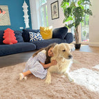 OLANLY Area Rugs for Living Room Bedroom, Machine Washable 4x5.9 ft Soft Fluffy Shaggy Bedside Rug, Indoor Floor Carpet for Kids Girls and Boys, Dorms, Nursery Rooms, Home Decor Aesthetic, Beige