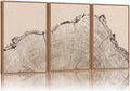 SIGNINART Large Tree Ring Framed Canvas Wall Art Set, Rustic Beige Nature Wooden Wall Decor, Neutral Wood Stump Artwork, Modern Art Prints for Bedroom Living Room Office 24"x36"x3