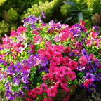 Artificial Flowers for Outdoor, UV Resistant Fake Silk Flowers, Realistic Faux Plants for Outside Indoor Porch Patio Window Box Planter Home Decor (14, Yellow Purple Rosy Red)