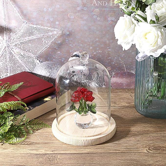 JUXYES Glass Display Dome Cloche with Wood Base, Clear Glass Dome Cloche Bell Sphere Jar Snow Globe Kit, Snowglobe Cloche Bell Jar Display for Fairy Light Plant Collectible Figures