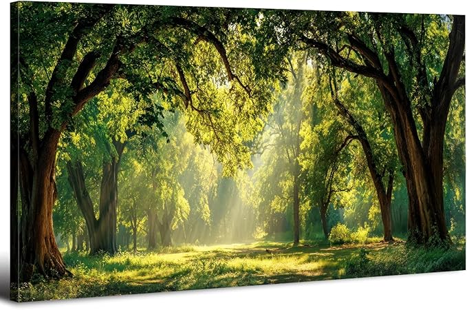 Forest Canvas Wall Art for Living Room Nature Landscape Pictures Wall Decor Sunrise Green Woodland Prints Poster Sunlight Trees Scenery Photography Artwork for Bedroom Office Home Decoration 24x48"