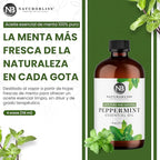 NaturoBliss Peppermint Essential Oil, 100% Pure and Natural Therapeutic Grade, Premium Quality Peppermint Oil, 4 fl. Oz - Perfect for Aromatherapy and Relaxation