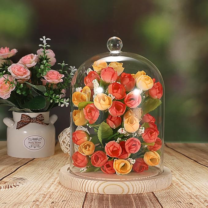 JUXYES Glass Display Dome Cloche with Wood Base, Clear Glass Dome Cloche Bell Sphere Jar Snow Globe Kit, Snowglobe Cloche Bell Jar Display for Fairy Light Plant Collectible Figures