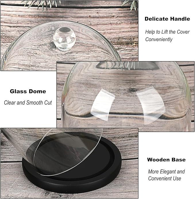 JUXYES Glass Display Dome Cloche with Wood Base, Clear Glass Dome Cloche Bell Sphere Jar Snow Globe Kit, Snowglobe Cloche Bell Jar Display for Fairy Light Plant Collectible Figures