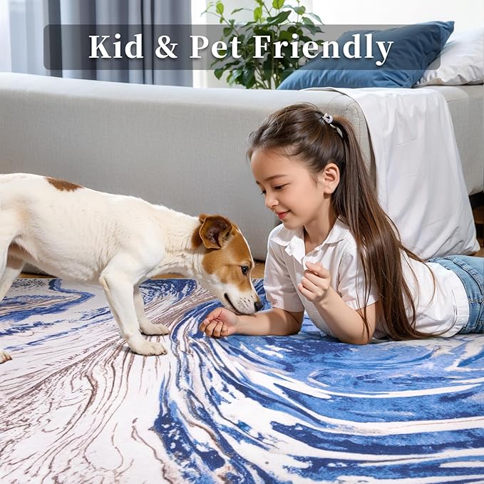 Ciicool Abstract Area Rug Indoor, 5x7 Swirl Washable Entryway Rug, Modern Soft Throw Entry Rug with Non-Slip Backing for Bedroom Living Room Entrance Kitchen, Low-Pile Floor Carpet Doormat Blue Brown