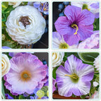 Spring Wreaths for Front Door Outside 24 Inch,Summer Wreath with Purple Morning Glory,Peony and Hydrangea,Spring Door Wreath for Indoor Outdoor Farmhouse Wall Proch Home Decor