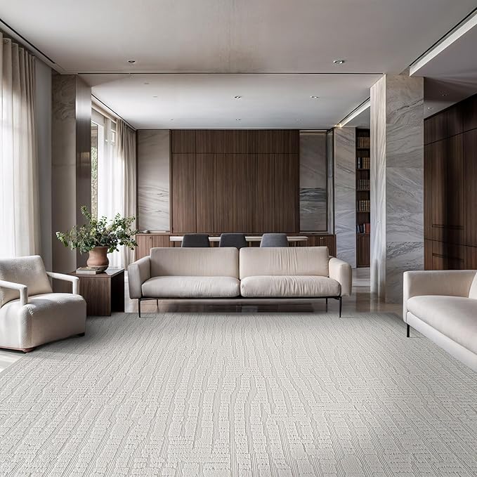 Modern Micro Loop Indoor Area Rugs for Living Room Bedroom Kitchen Geometric Pebble White 5x7 Luxury Durable Low and High Pile Non-Shedding Stain Resistant Soft Area Carpet 5 x 7